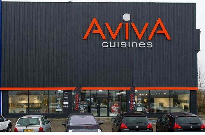 Franchise master franchise AvivA